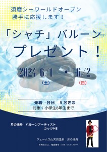 シャチバルーン2024-6