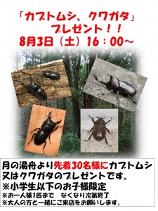 カブトムシ2024-8